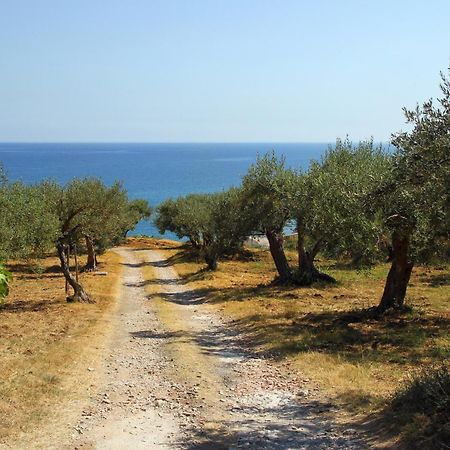 Tenuta Petreria Santo Stefano di Camastra Dış mekan fotoğraf